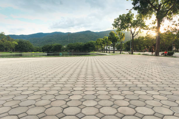 Best Concrete Paver Driveway  in Beecher, MI